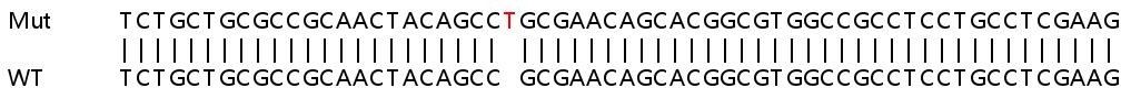 Sanger Sequencing - Human DFFA (ICAD) knockout HeLa cell line (AB265794), expandable thumbnail