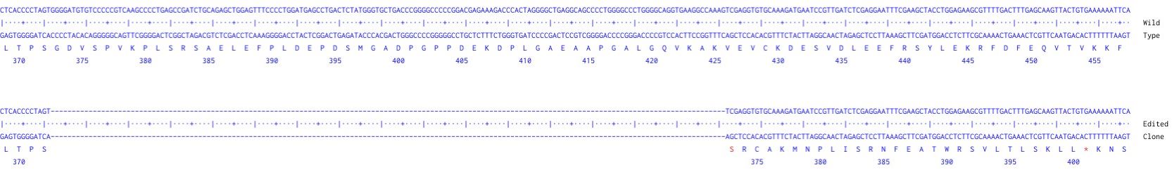 Next Generation Sequencing - Human DGCR8 knockout A549 cell line (AB287368), expandable thumbnail