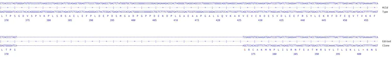 Next Generation Sequencing - Human DGCR8 knockout A549 cell line (AB287368)