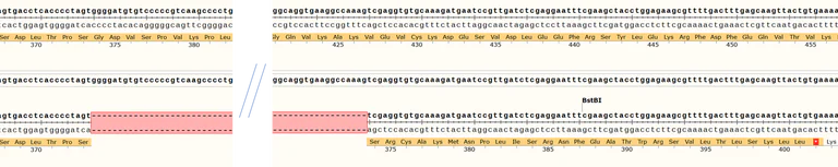Sanger Sequencing - Human DGCR8 knockout A549 cell line (AB287368)