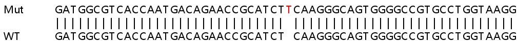 Sanger Sequencing - Human DHCR7 knockout HeLa cell line (AB265281)