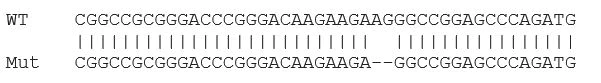 Sanger Sequencing - Human DIAPH1 knockout HCT116 cell lysate (AB275252)