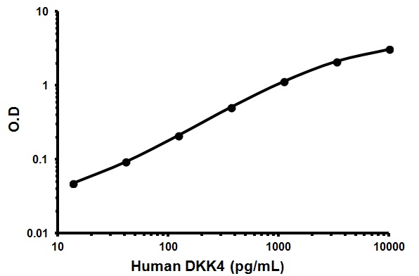 Sandwich ELISA - Human DKK4 ELISA Kit (Dickkopf-4) (AB100503)