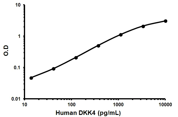 Sandwich ELISA - Human DKK4 ELISA Kit (Dickkopf-4) (AB100503)