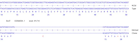 Next Generation Sequencing - Human DLAT knockout A549 cell line (AB300919)