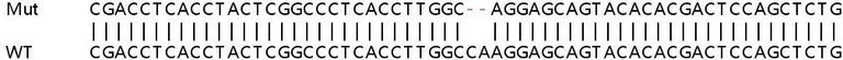 Sanger Sequencing - Human DLD (Lipoamide Dehydrogenase) knockout HeLa cell lysate (AB257922)