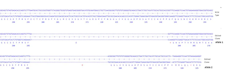 Next Generation Sequencing - Human DLL3 knockout A549 cell line (AB288918)