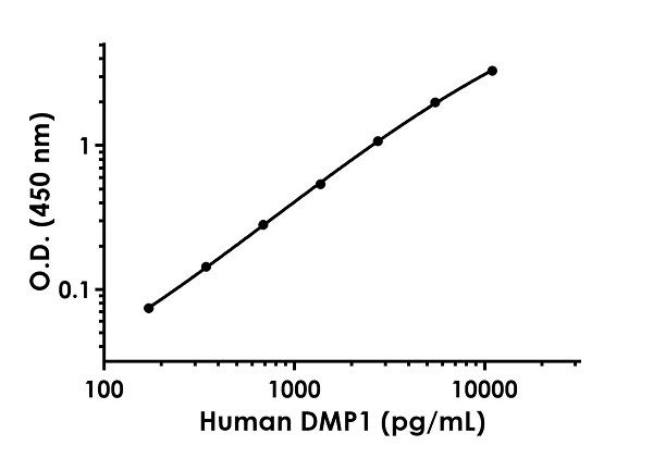 Sandwich ELISA - Human DMP1 ELISA Kit (AB246530)