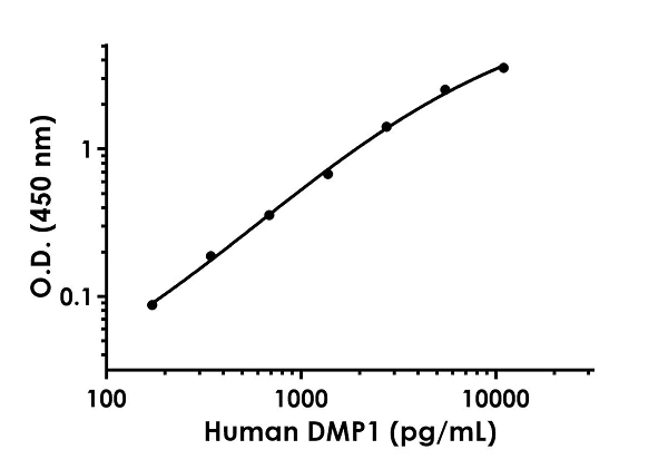 Sandwich ELISA - Human DMP1 ELISA Kit (AB246530)