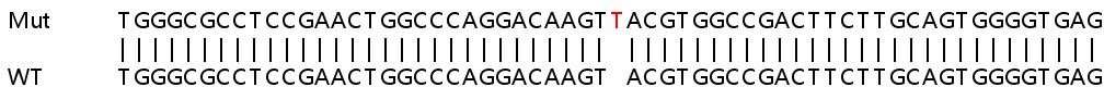 Sanger Sequencing - Human DMPK (Dystrophia myotonica protein kinase) knockout HEK-293T cell line (AB266366), expandable thumbnail