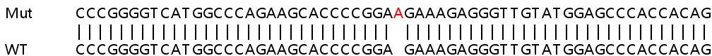 Sanger Sequencing - Human DNAJC14 knockout HeLa cell lysate (AB258848), expandable thumbnail