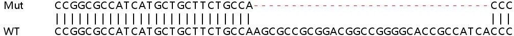 Human DNAJC2 (ZRF1) knockout HEK-293T cell lysate