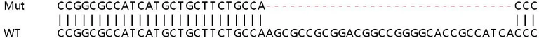 Sanger Sequencing - Human DNAJC2 (ZRF1) knockout HEK-293T cell lysate (AB263173)