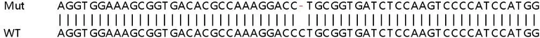 Sanger Sequencing - Human DNMT3A knockout HeLa cell lysate (AB257128)