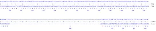 Next Generation Sequencing - Human DNMT3B knockout A549 cell line (AB287371)