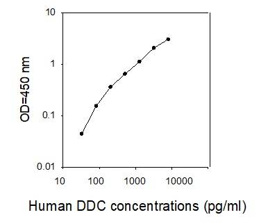 ELISA - Human Dopa Decarboxylase/DCC ELISA Kit (AB277451), expandable thumbnail