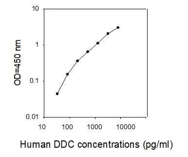 ELISA - Human Dopa Decarboxylase/DCC ELISA Kit (AB277451)