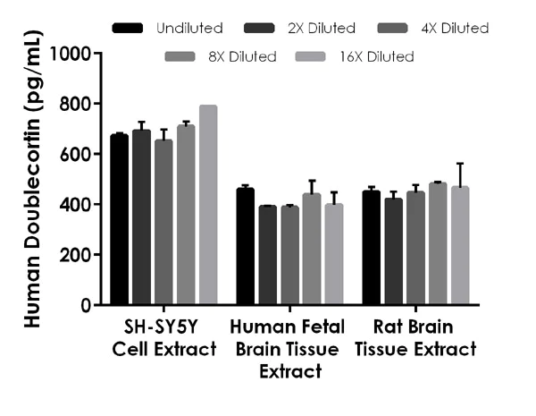 Sandwich ELISA - Human Doublecortin ELISA Kit (AB218267)