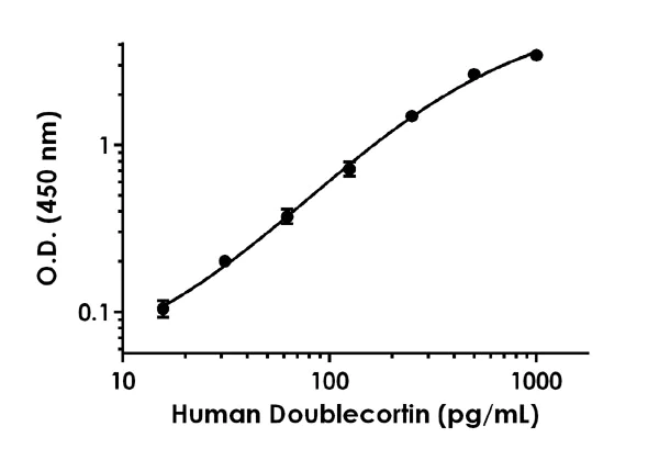 Sandwich ELISA - Human Doublecortin ELISA Kit (AB218267)