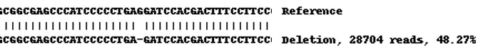 Next Generation Sequencing - Human DPF2 knockout A-431 cell line (AB270473)
