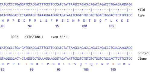 Next Generation Sequencing - Human DPF2 knockout A-431 cell line (AB270473)