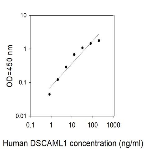 Sandwich ELISA - Human DSCAML1 ELISA Kit (AB313687), expandable thumbnail