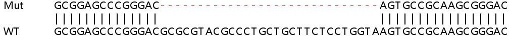 Sanger Sequencing - Human DSG2 (Desmoglein 2) knockout A549 cell line (AB267085), expandable thumbnail