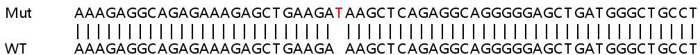 Sanger Sequencing - Human DTX3 knockout HeLa cell lysate (AB258849), expandable thumbnail