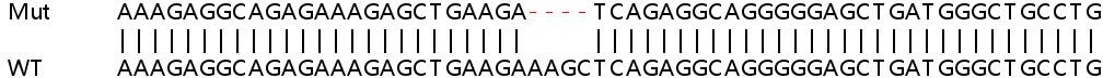 Sanger Sequencing - Human DTX3 knockout HeLa cell lysate (AB258849), expandable thumbnail
