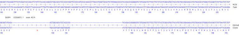 Next Generation Sequencing - Human DUSP4 knockout A549 cell line [D4] (AB319091)