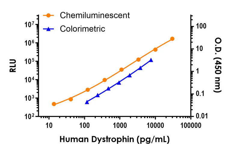 Sandwich ELISA - Human Dystrophin ELISA Kit, Chemiluminescent (AB326397)