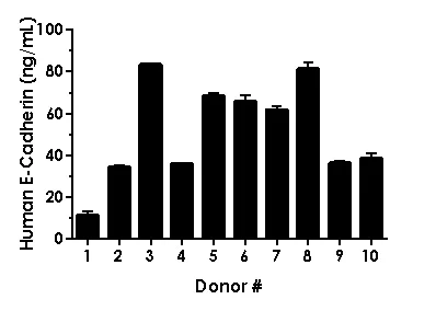 Sandwich ELISA - Human E-Cadherin ELISA Kit (AB233611)