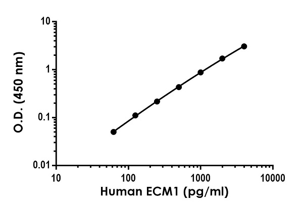 Sandwich ELISA - Human ECM1 ELISA Kit (AB246524)