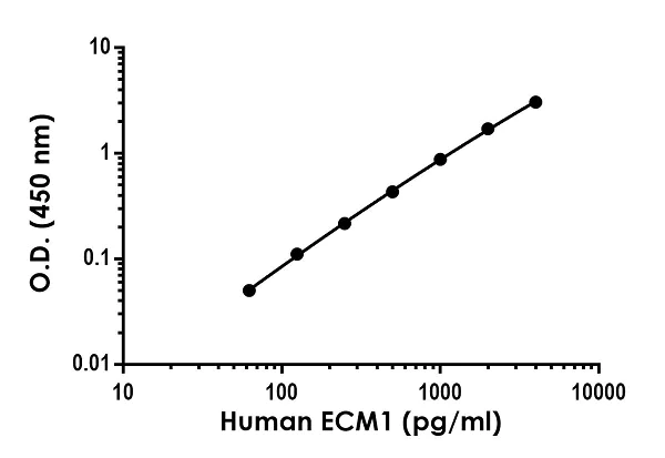 Sandwich ELISA - Human ECM1 ELISA Kit (AB246524)