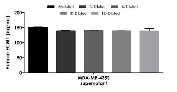 Sandwich ELISA - Human ECM1 ELISA Kit, Chemiluminescent (AB326753)