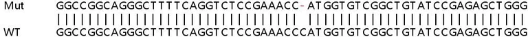 Sanger Sequencing - Human EEF1B2 knockout HEK-293T cell lysate (AB257934)