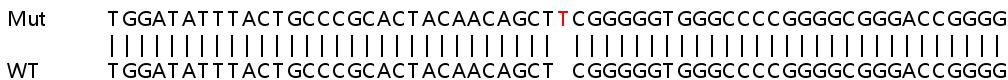Sanger Sequencing - Human EFNA3 (Ephrin A3) knockout HEK-293T cell line (AB267296), expandable thumbnail