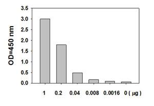 Sandwich ELISA - Human EGFR ELISA Kit (pS1046) (AB126434), expandable thumbnail