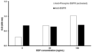 In-Cell ELISA - Human EGFR In-Cell ELISA Kit (AB126419)