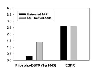 Sandwich ELISA - Human EGFR (pY1045) + total EGFR ELISA Kit (AB126437)