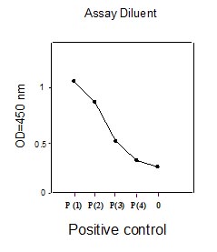 Sandwich ELISA - Human EGFR (pY1068) + total EGFR ELISA Kit (AB126439), expandable thumbnail