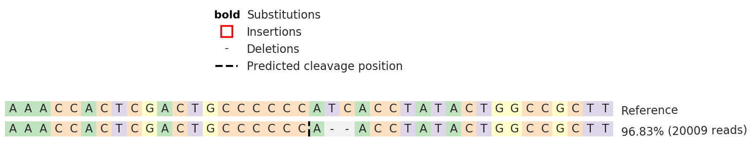 Human EGR1 knockout HeLa cell line