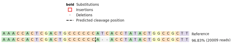 Next Generation Sequencing - Human EGR1 knockout HeLa cell line (AB274929)
