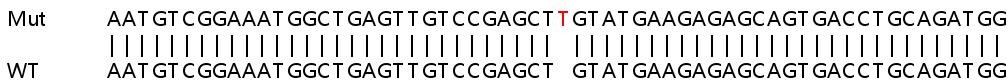 Sanger Sequencing - Human EID1 knockout HEK-293T cell line (AB266153), expandable thumbnail