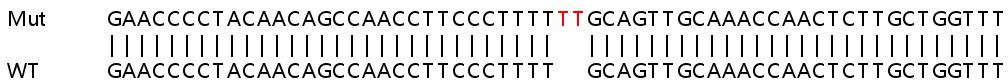 Sanger Sequencing - Human EIF2AK1 (Heme-regulated inhibitor) knockout HEK-293T cell line (AB266486), expandable thumbnail