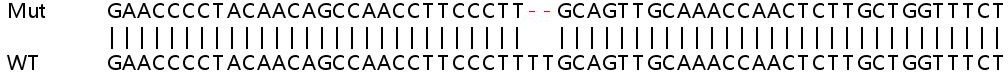 Sanger Sequencing - Human EIF2AK1 (Heme-regulated inhibitor) knockout HeLa cell line (AB264920), expandable thumbnail