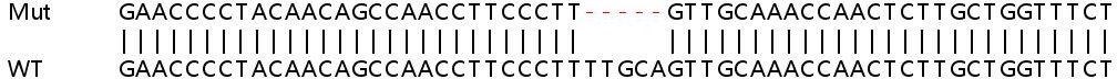 Sanger Sequencing - Human EIF2AK1 (Heme-regulated inhibitor) knockout HeLa cell line (AB264920), expandable thumbnail