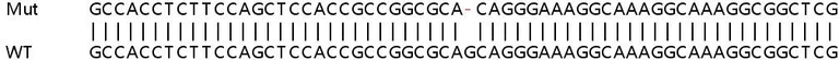Sanger Sequencing - Human EIF3H knockout HeLa cell line (AB265292)