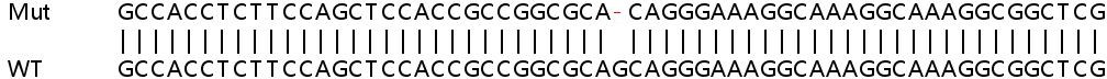 Sanger Sequencing - Human EIF3H knockout HeLa cell lysate (AB258408), expandable thumbnail
