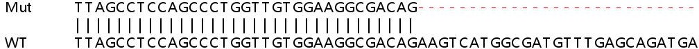 Sanger Sequencing - Human EIF3K knockout HEK-293T cell lysate (AB258857), expandable thumbnail